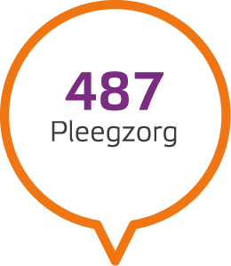 487 Pleegzorg 