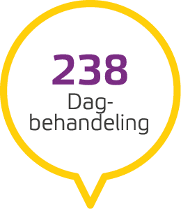 238 Dag behandeling 