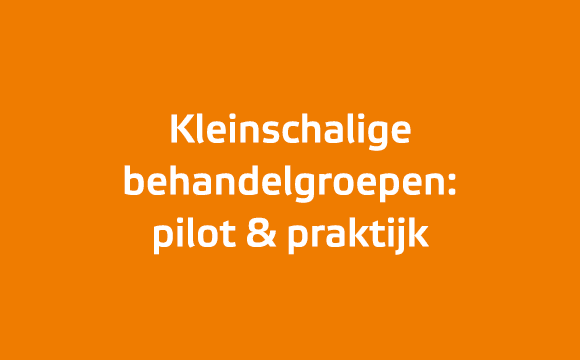 Kleinschalige behandelgroepen: pilot & praktijk
