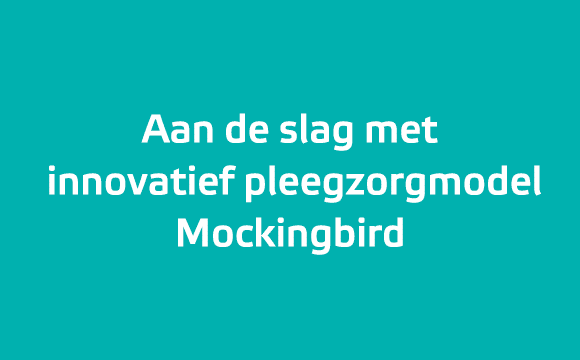 Aan de slag met innovatief pleegzorgmodel Mockingbird