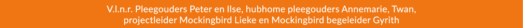 V.l.n.r. Pleegouders Peter en Ilse, hubhome pleegouders Annemarie, Twan, projectleider Mockingbird Lieke en Mockingbi...