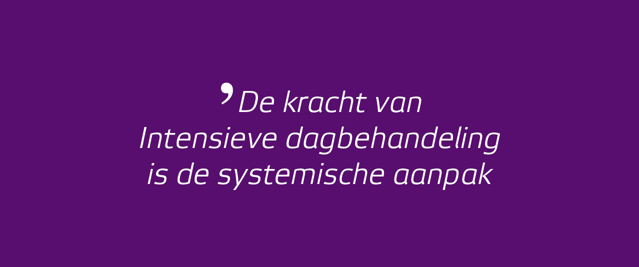 ʼDe kracht van Intensieve dagbehandeling is de systemische aanpak