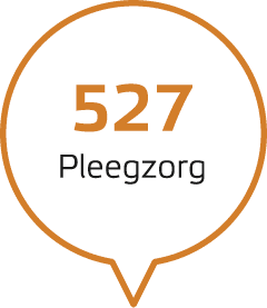 527 Pleegzorg 